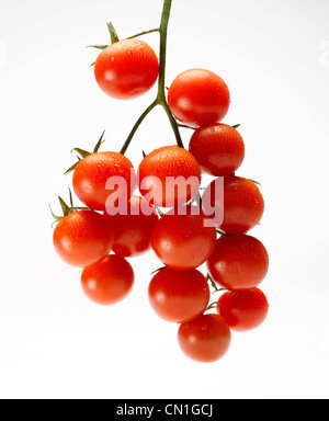 Diversi i pomodori ciliegia sulla vite II Foto Stock