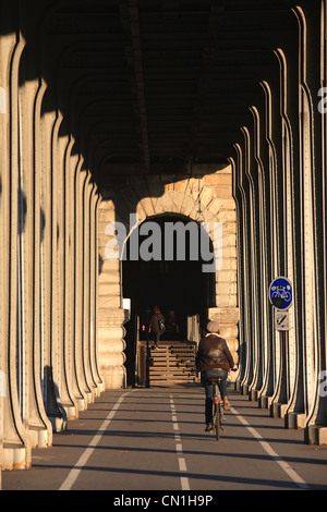 Francia, Parigi, Pont Bir-Hakeim, bikeqay sotto l'antenna metro linea 6 Foto Stock