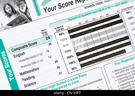 Punteggio degli studenti relazione annuale per Stato standard test in varie competenze accademiche. Lo studente ha segnato altamente a tutti. Foto Stock