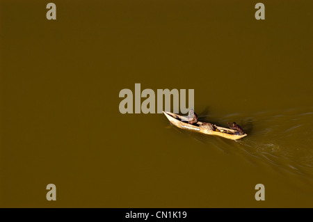 I pescatori in una piroga, vista aerea ,Lago Nyumba ya mungu Kilimanjaro Regione, Tanzania Foto Stock