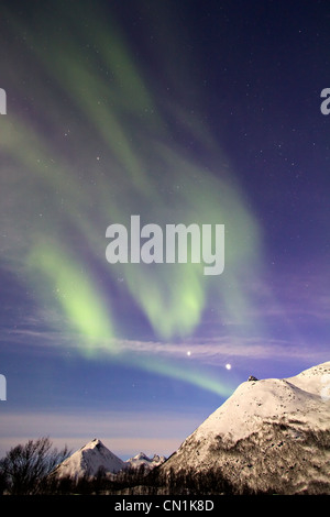 Aurora boreale o le luci del nord in movimento attraverso il cielo notturno entro il Circolo Polare Artico Troms Tromso Norvegia 2012 migliori Foto Stock