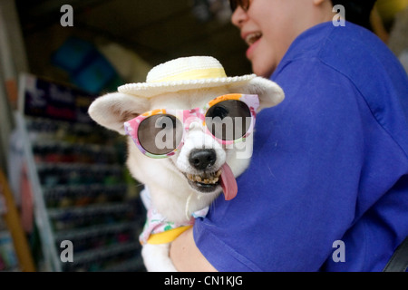 Una donna asiatica sta portando un cane che indossa un cappello e occhiali da sole su una strada di città in Chiang Rai, Thailandia. Foto Stock