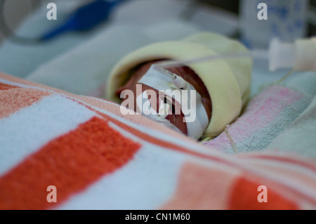 Prenatale di ICU Ward, Danang, Vietnam Foto Stock