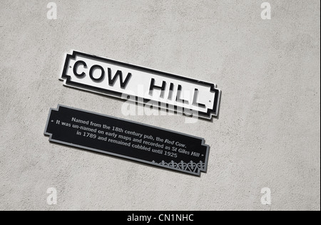 Un cartello stradale per la collina di vacca in Norwich, Norfolk, Regno Unito Foto Stock