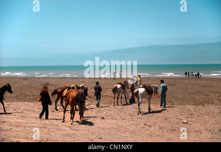 Mar Caspio Iran People & cavalli sulla spiaggia Foto Stock
