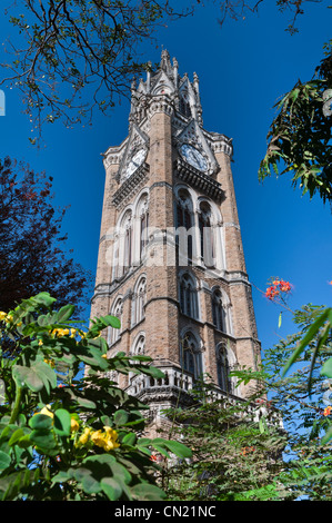 Università di Mumbai Clock Tower Kala Ghoda Mumbai Bombay in India Foto Stock