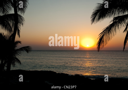 Alberi di palma e il tramonto sul mare, Tulum, Messico Foto Stock