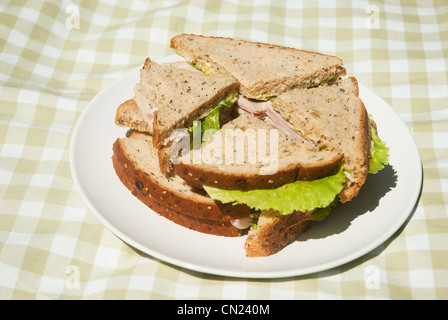 Piastra di panini sulla coperta picnic Foto Stock