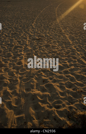 Tracce di pneumatici sulla spiaggia sabbiosa Foto Stock