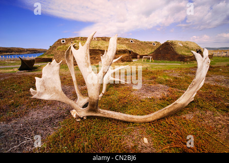 Close-up di palchi con tre edifici dei norvegesi in background, l'Anse aux Meadows National Historic Site, San Lunaire-Griquet, NL Foto Stock