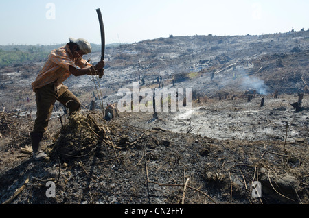 Uomo riducendo la vegetazione bruciata una collina dopo la deforestazione. Strada di Pathein per Mawdin Sun. delta di Irrawaddy. Myanmar. Foto Stock