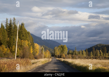 Attraverso la strada rurale Campo d'Autunno, Montana, USA Foto Stock