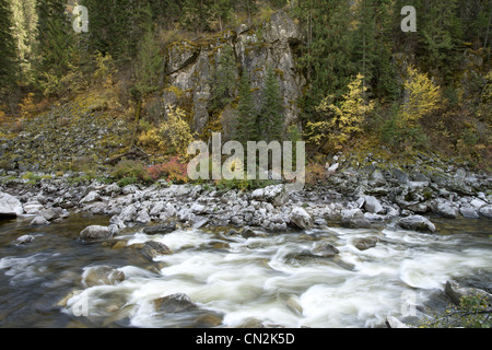 Fiume lungo il terreno roccioso nella foresta, Montana, USA Foto Stock