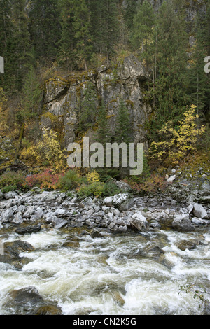 Fiume lungo il terreno roccioso nella foresta, Montana, USA Foto Stock