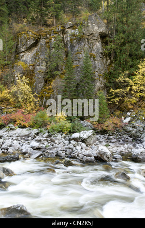 Fiume lungo il terreno roccioso nella foresta, Montana, USA Foto Stock