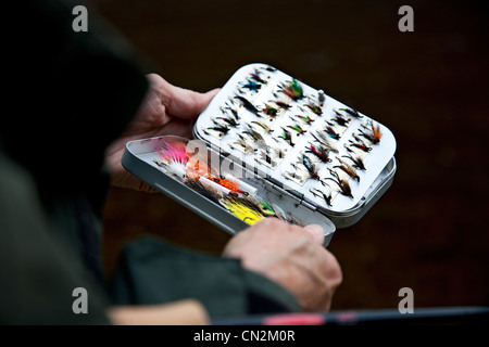 Persona in possesso di Pesca a Mosca Report di Pesca esche, close up Foto Stock