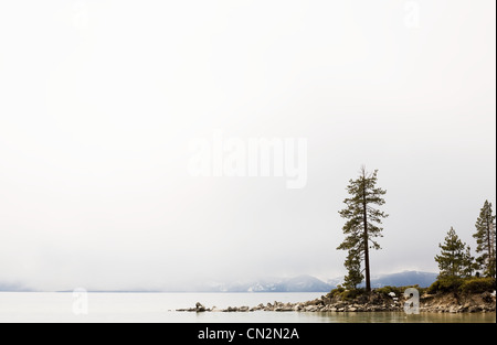 Abeti e montagne, il lago Tahoe, CALIFORNIA, STATI UNITI D'AMERICA Foto Stock