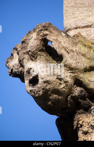 Gargoyle sulla parte esterna di Santa Maria Vergine Chiesa Devizes Foto Stock