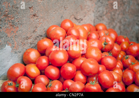 Pomodori nel mercato Foto Stock