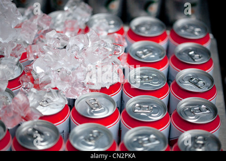 Le lattine per bevande e i cubetti di ghiaccio, close up Foto Stock