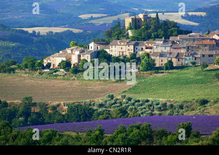 Francia, Alpes de Haute Provence, Entrevennes Foto Stock