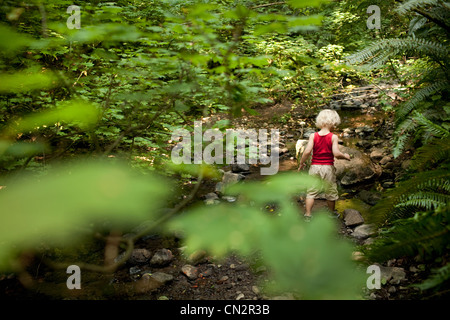 Ragazzo giovane camminare attraverso la foresta Foto Stock