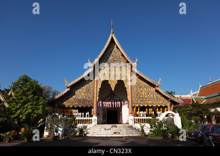 Cani selvatici nella parte anteriore del Wat Chiang Mun tempio, Chiang Mai, Thailandia Foto Stock