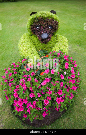 La Scozia, Grampian, murene, Forres, Display floreale in Grant Park Foto Stock