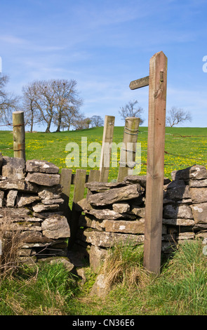 Sentiero segno e spremere stile in un secco muro di pietra. Anche un paletto porta ad impedire la fuoriuscita di agnelli. I fiori sono Lesser celandine. Foto Stock