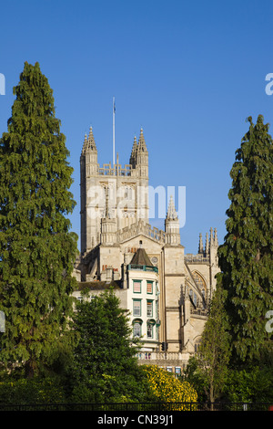Inghilterra, Somerset, vasca da bagno, Vasca cattedrale Foto Stock