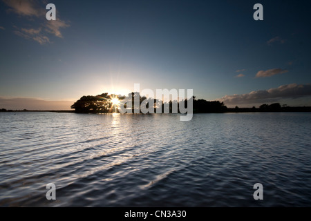 Tramonto a Hatchet stagno Foto Stock