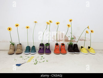 Fila di scarpe con fiori in essi Foto Stock