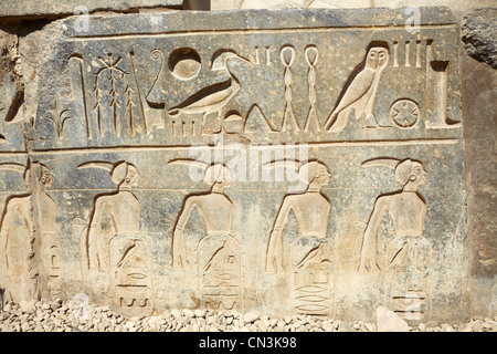 Di rilievo sul muro del tempio di Luxor Luxor Egitto Foto Stock