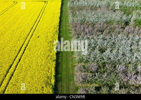 Francia, Eure, Boisemont, Domaine de Frenelles, Le Pressoir d'Or, Norman sidro produttore (vista aerea) Foto Stock