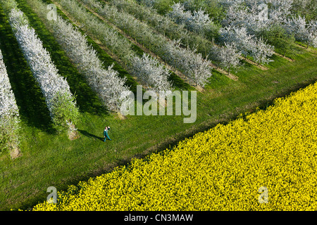 Francia, Eure, Boisemont, Domaine de Frenelles, Le Pressoir d'Or, Norman sidro produttore (vista aerea) Foto Stock