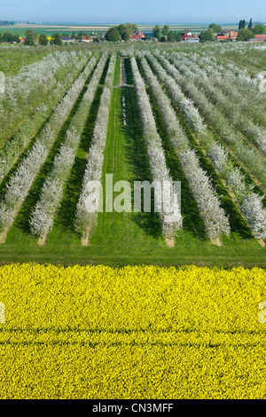 Francia, Eure, Boisemont, Domaine de Frenelles, Le Pressoir d'Or, Norman sidro produttore (vista aerea) Foto Stock