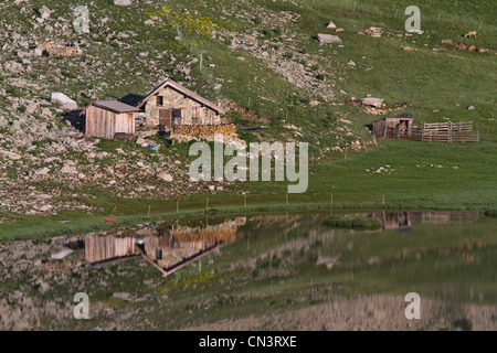 Francia, Alpes de Haute Provence, Parc national du Mercantour (Parco Nazionale del Mercantour), Haut Verdon, Colmars, capanna di pastore Foto Stock