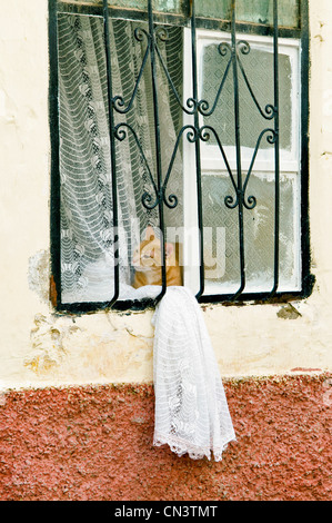 Il Marocco, Tangeri Tetouan Regione, Tangeri, gatto in una finestra nella Medina Foto Stock