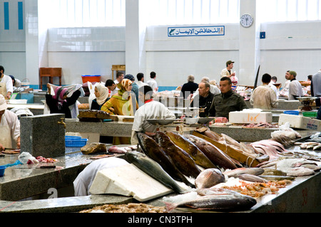 Il Marocco, Tangeri Tetouan Regione, Tangeri, mercato in Gran Socco (il grande souk)