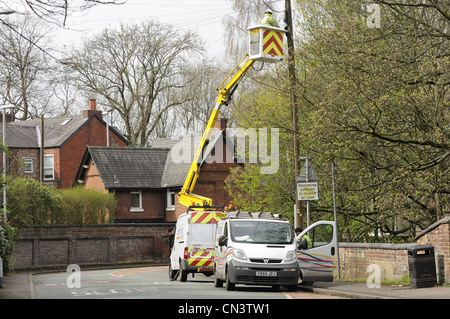 Openreach veicoli in strada con ingegnere di lavoro sul palo del telefono utilizzando la piattaforma idraulica Foto Stock