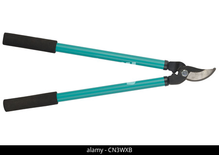 Sfrondatori (o forbici) isolato su sfondo bianco Foto Stock