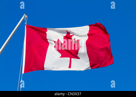 Canada, Provincia di Quebec, Canada la bandiera, il red maple leaf Foto Stock