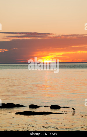 Canada, Québec provincia, regione di Charlevoix, St Lawrence river raod, alba sopra la baia di St Irenee, heron Foto Stock