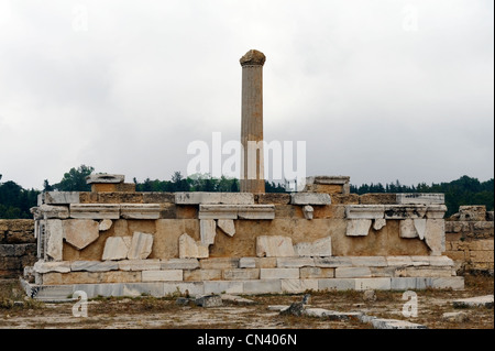 Cirene. La Libia. Uno dei due monumentali altari di marmo che ricordano l'altare di Apollo nel Santuario. Gli altari sono Foto Stock