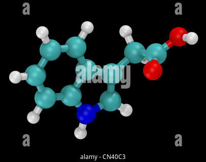 3D modello molecolare di indolo-3-acido acetico (IAA) Foto Stock
