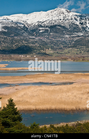 Guardando attraverso il lago Stymphalian verso il Monte Killini (La Ziria) nel sud della Corinzia, Peloponneso e Grecia. Foto Stock