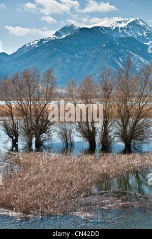 Il lago di Stymphalian nella primavera alluvione nel sud della Corinzia, Peloponneso e Grecia. Foto Stock