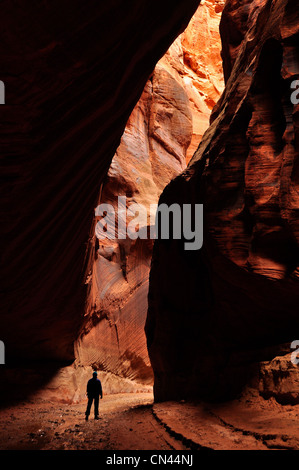 Escursionista in si restringe di daino, Gulch Paria Canyon - Vermilion Cliffs Wilderness, Utah. Foto Stock