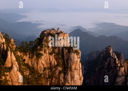 Luce del sole rosso sulla Monkey guardando il mare picco ad alba con la nebbia nella vallata a Huangshan gialle di montagna Repubblica Popolare Cinese Foto Stock