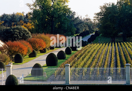 Francia, Gironde, Pauillac, Chateau Mouton Rothschild, vigneto e giardini Foto Stock